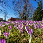 Es wird Frühling!