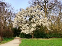 Es wird Frühling