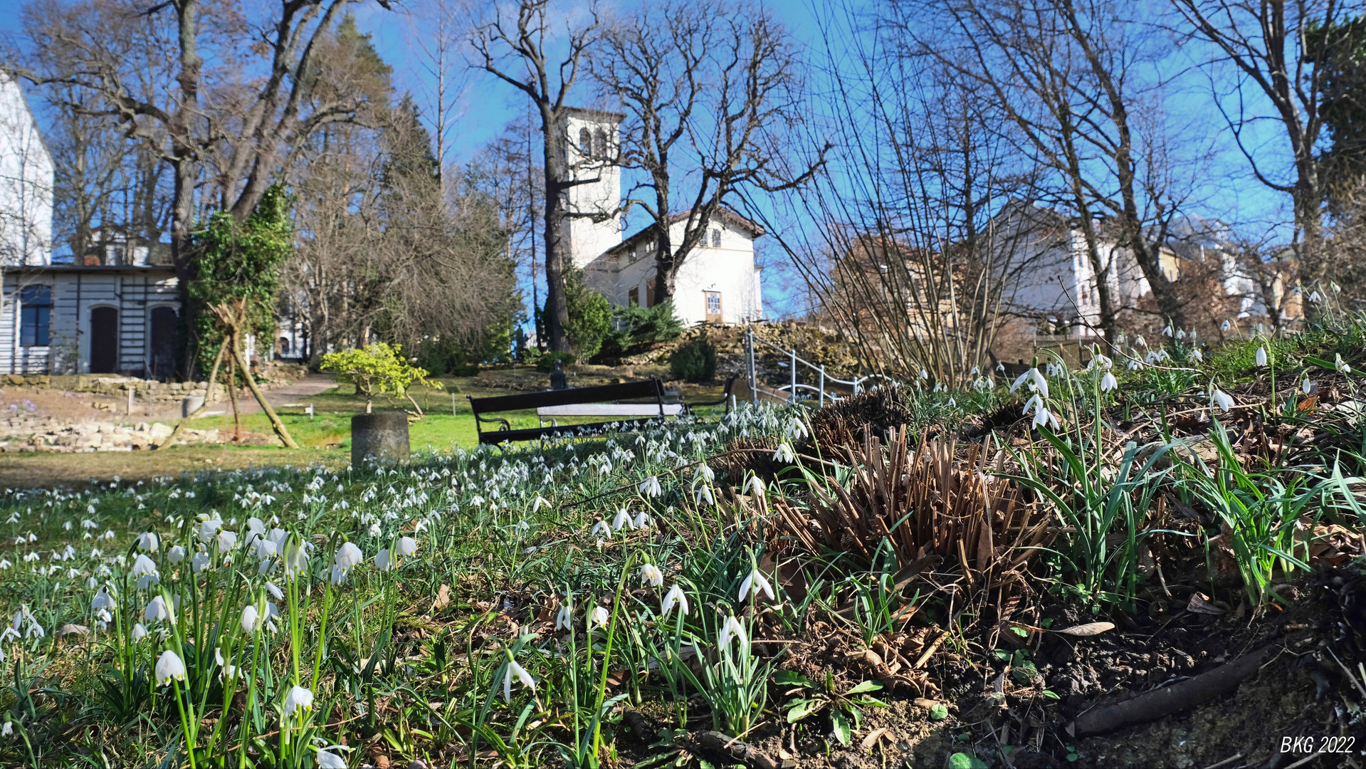 Es wird Frühling :-)