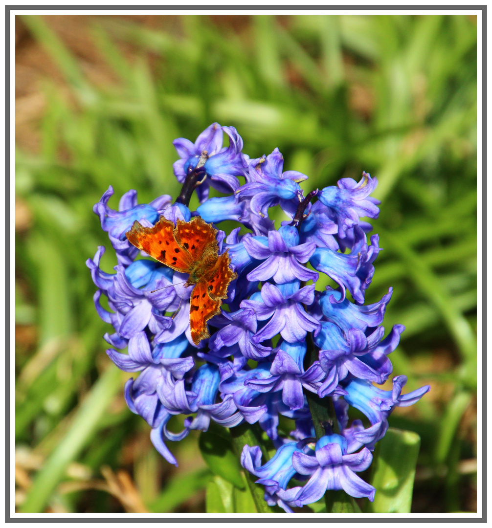 Es wird Frühling