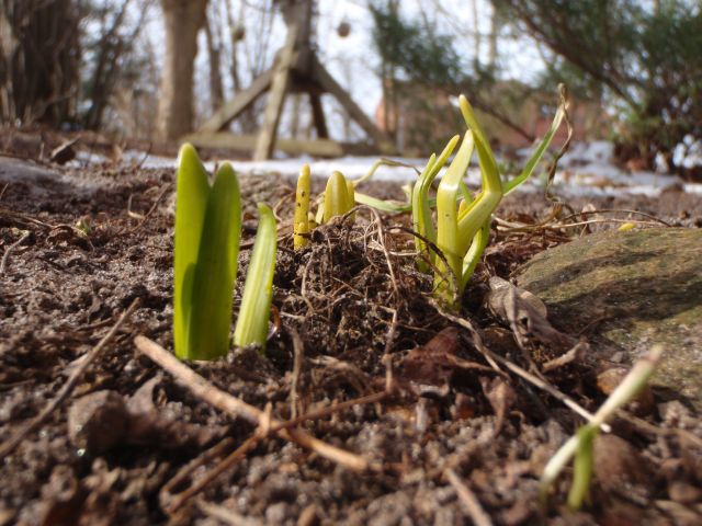 Es wird Frühling