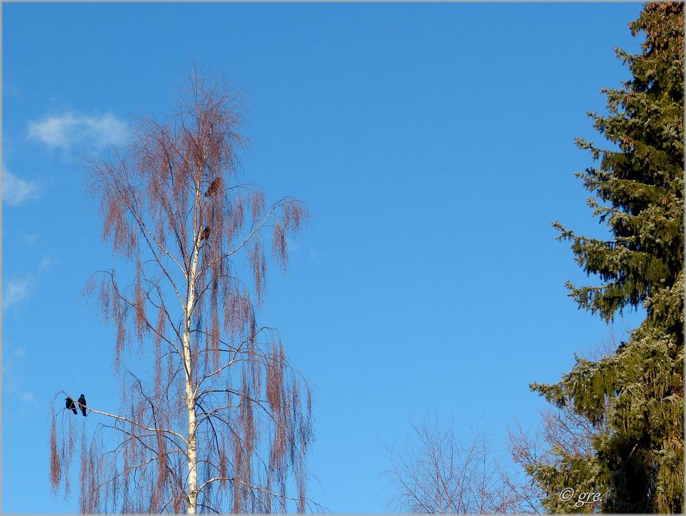 Es wird Frühling