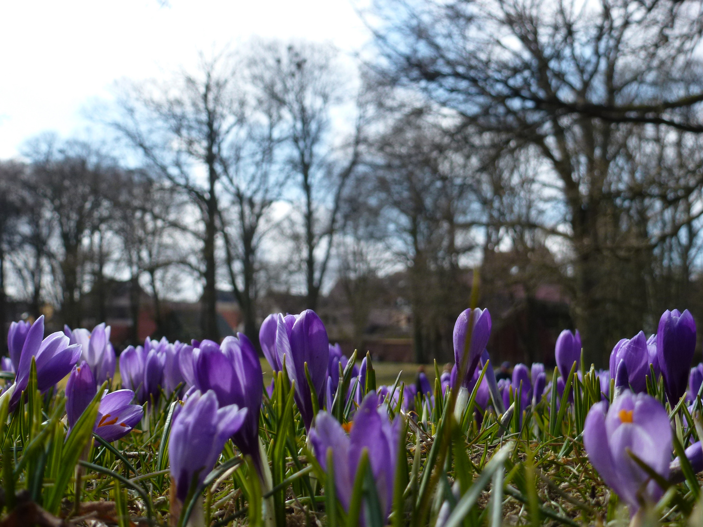 Es wird Frühling!