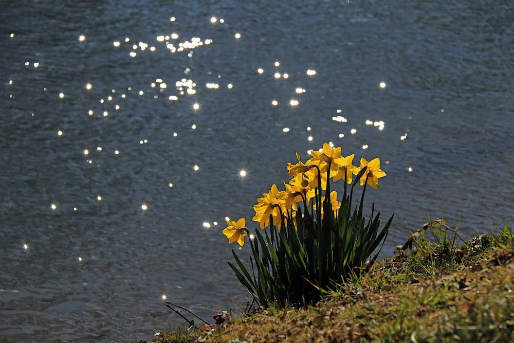 Es wird Frühling