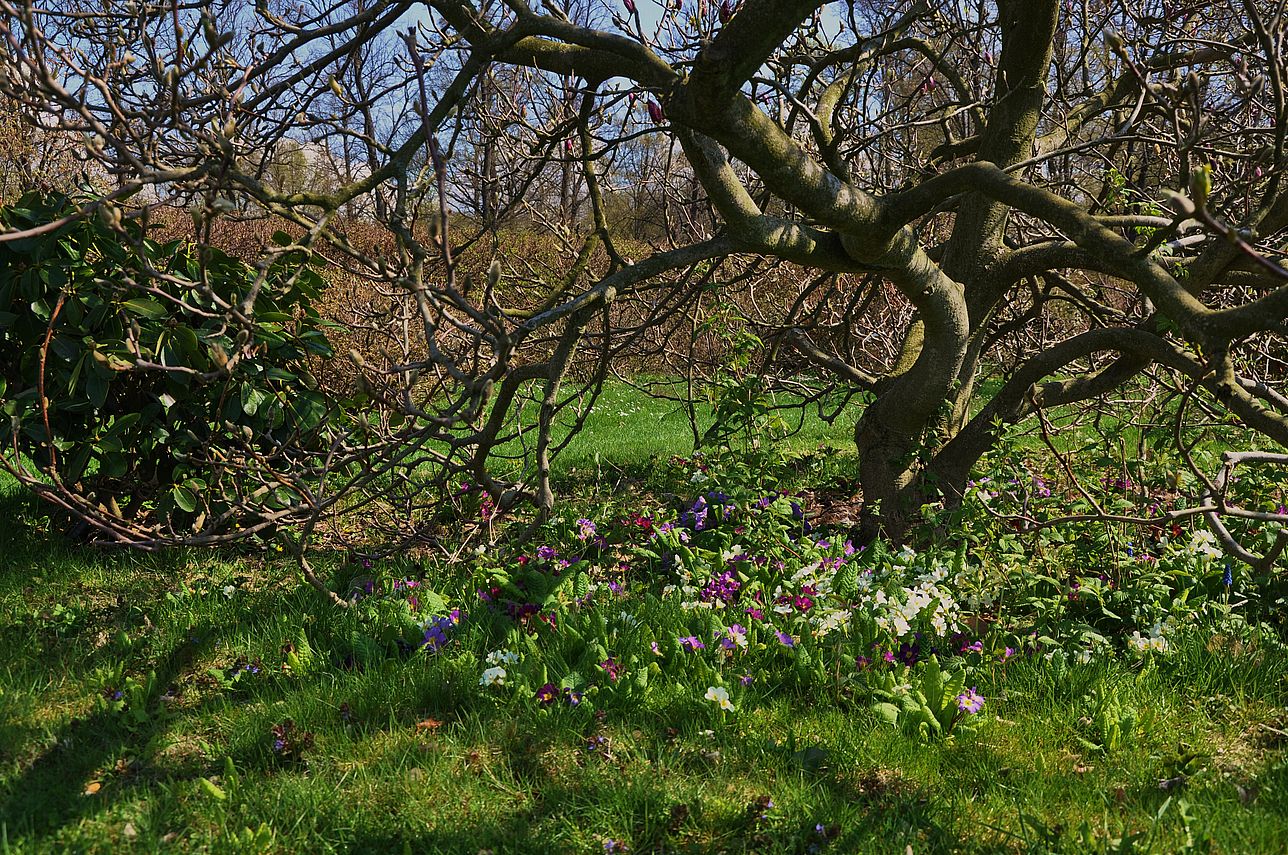 Es wird Frühling!