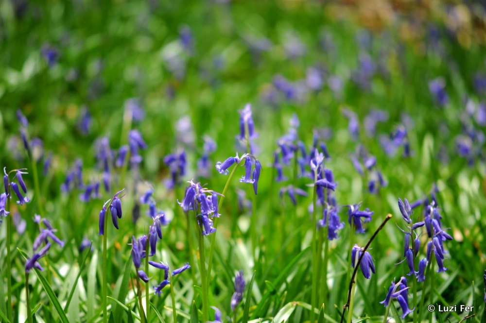 Es wird Frühling