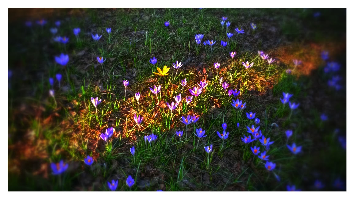 Es wird Frühling - eindeutige Indizien