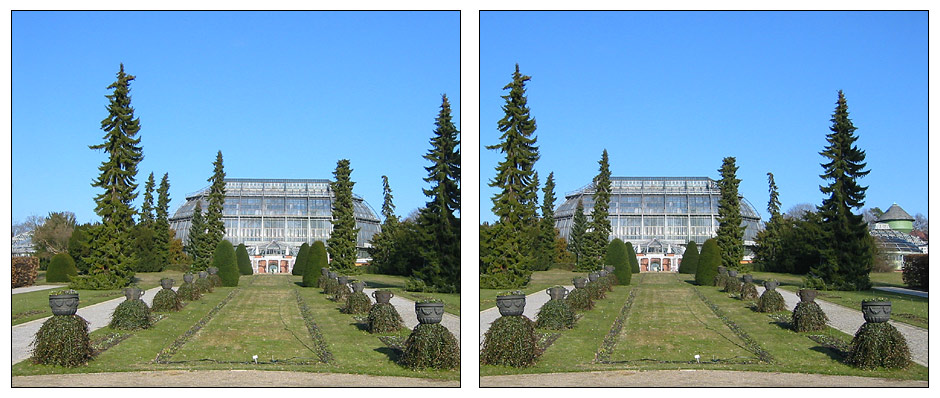 Es wird Frühling! - Großes Tropenhaus im Botanischen Garten Berlin