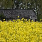 Es wird Frühling im Havelland/Wustermark