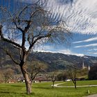 es wird frühling im zillertal