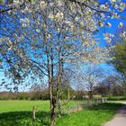 Es wird Frühling in Gelsenkirchen