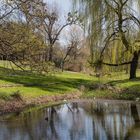 Es wird grün im Park