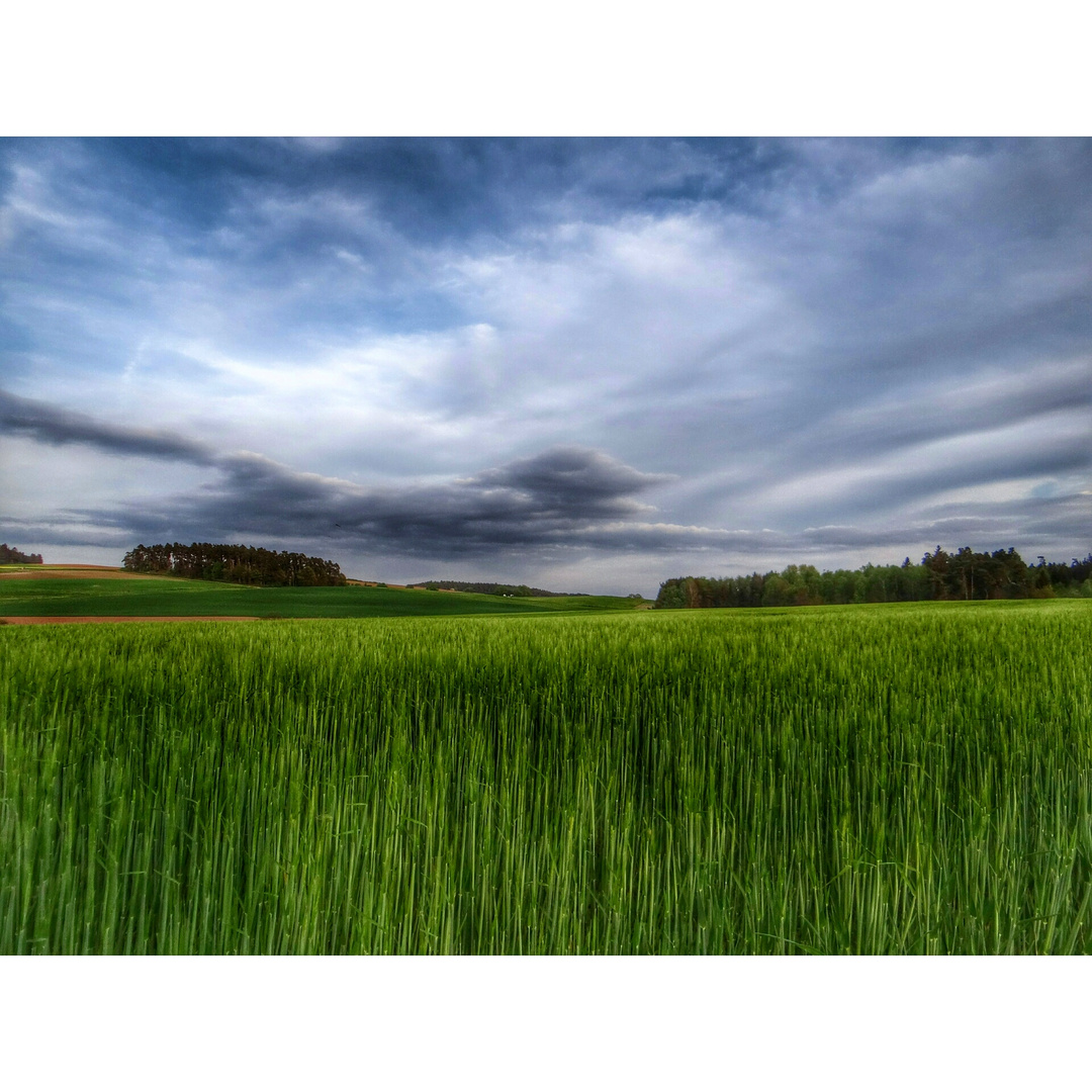 Es wird grün in Oberfranken