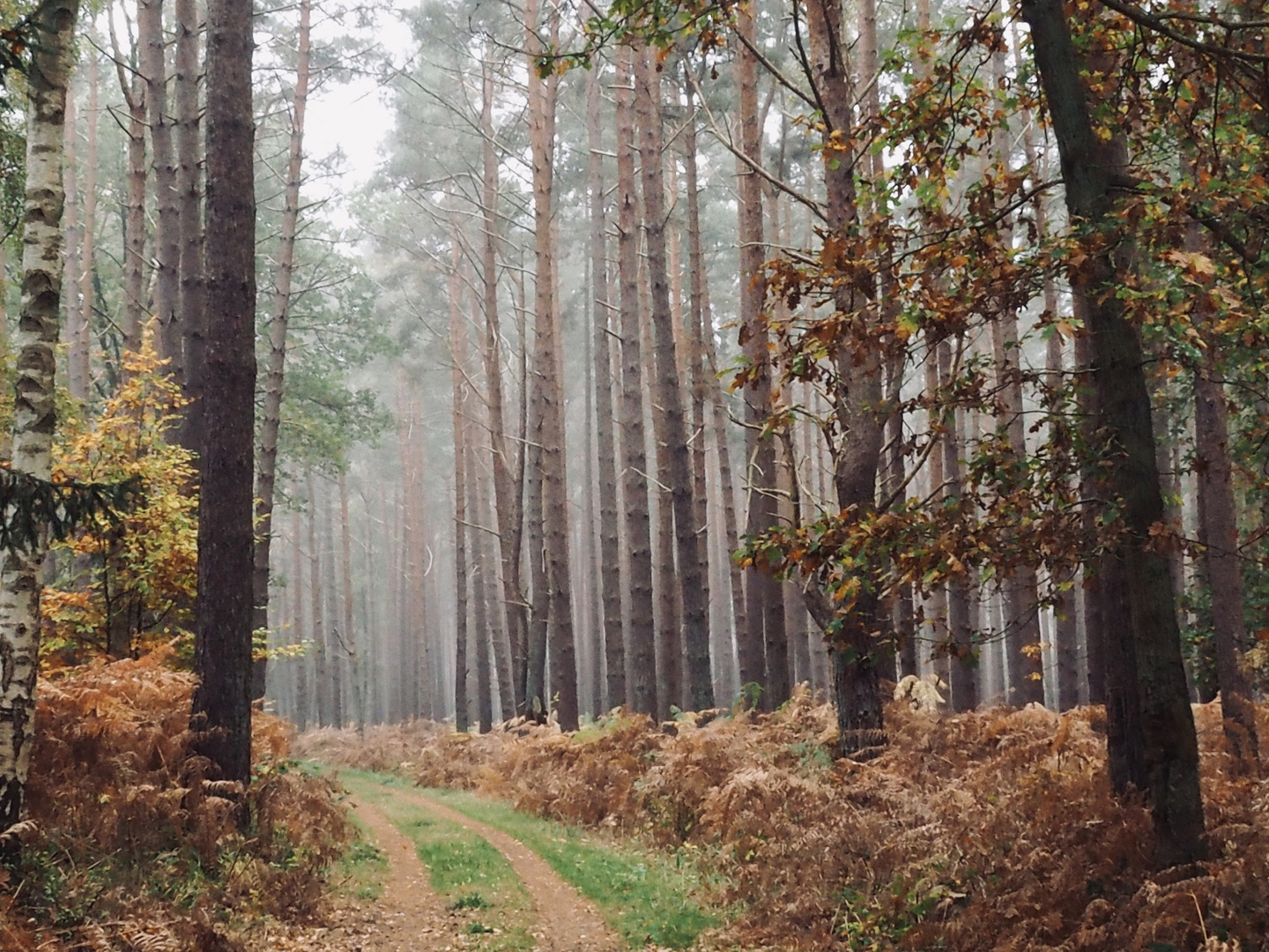 Es wird Herbst