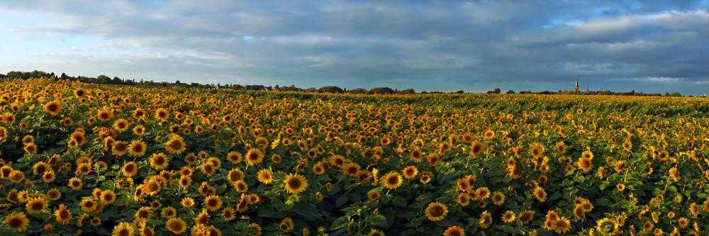 Es wird Herbst....