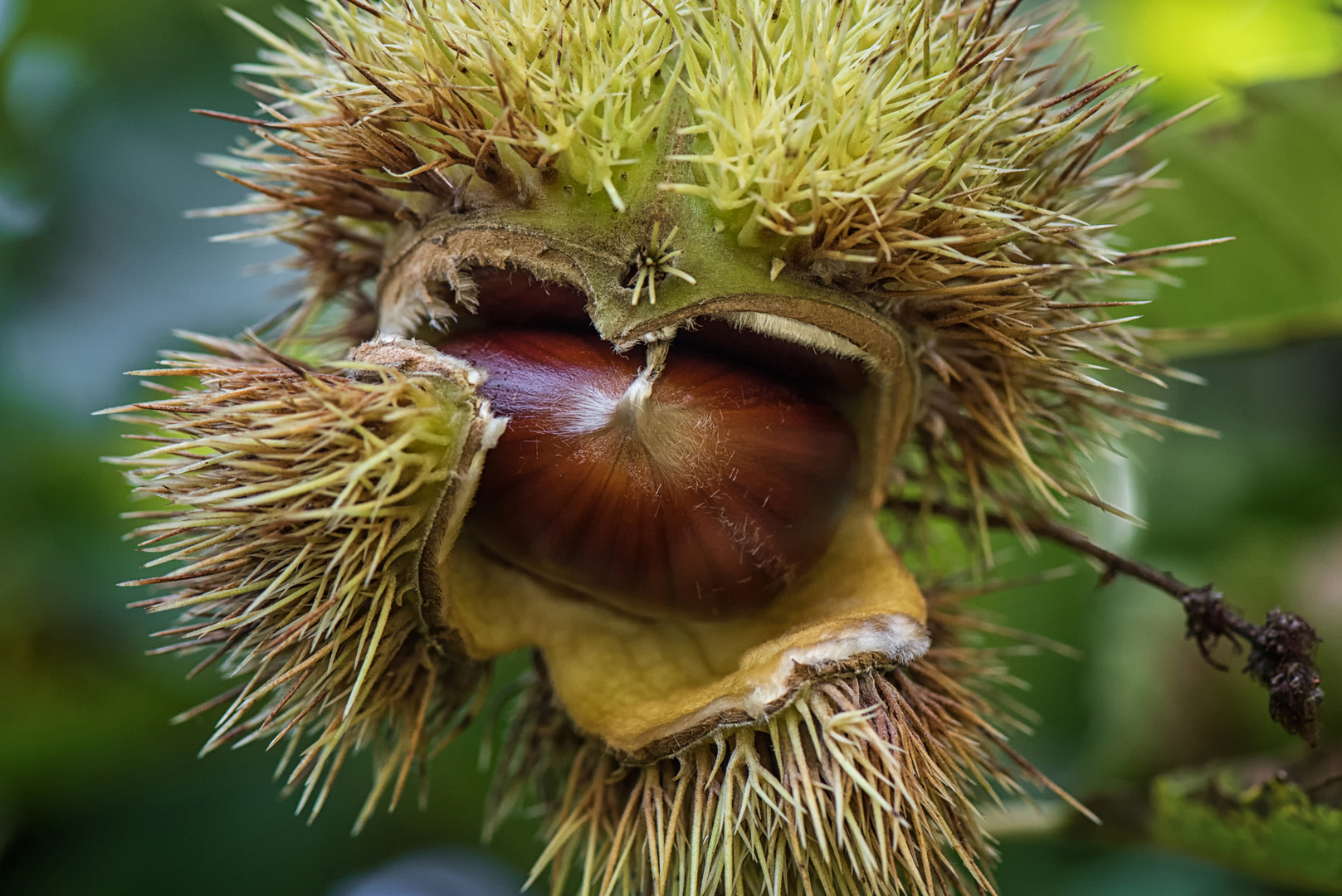 Es wird Herbst