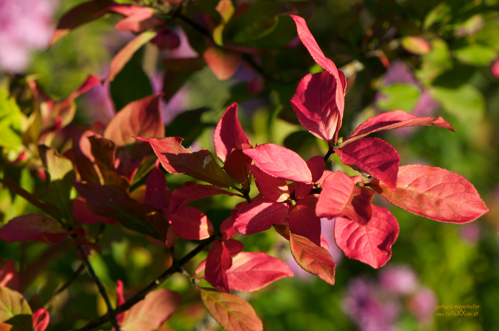 Es wird Herbst