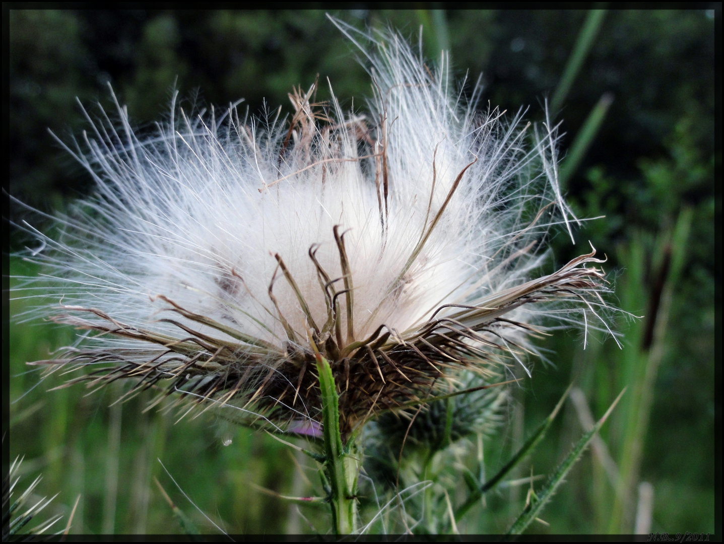 -es wird Herbst-