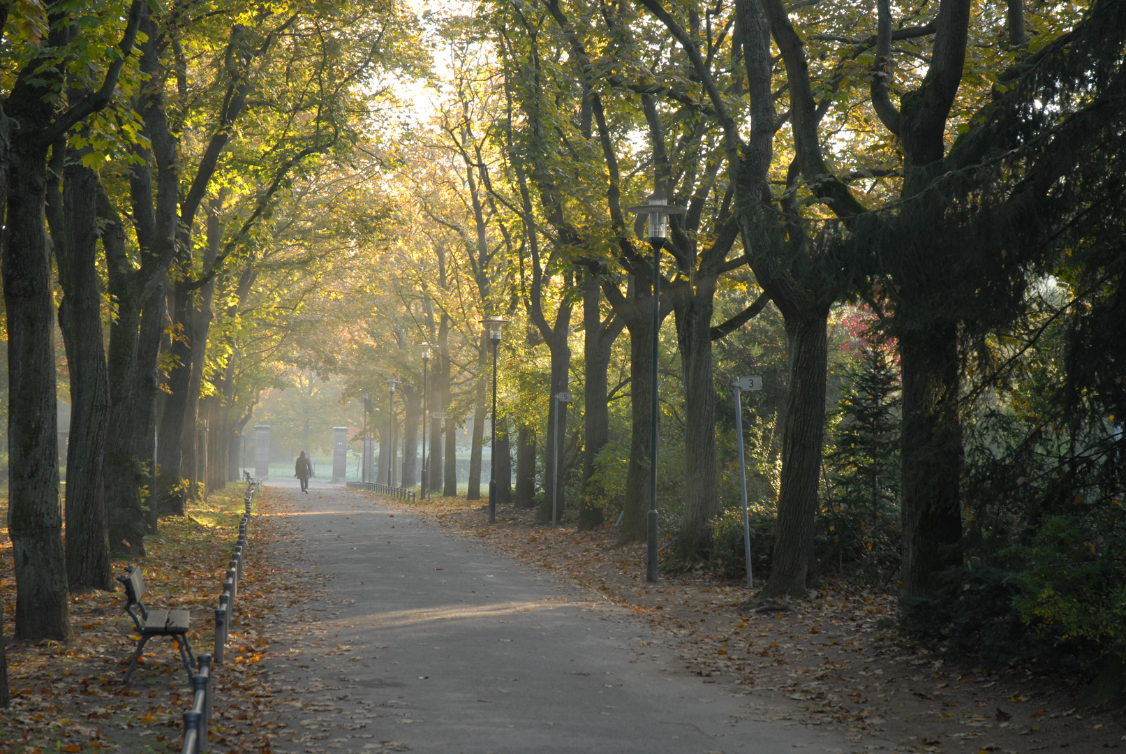 Es wird Herbst