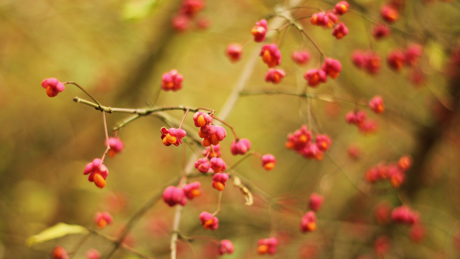 Es wird Herbst...