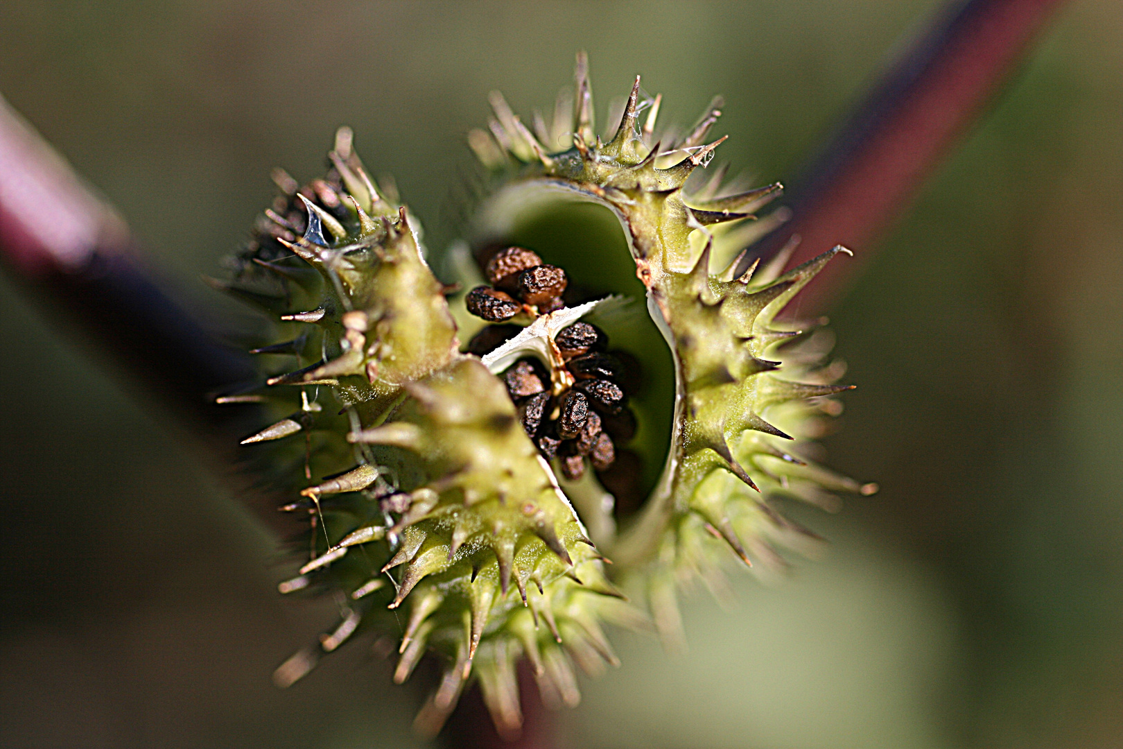 Es wird Herbst !!