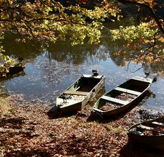 Es wird Herbst 