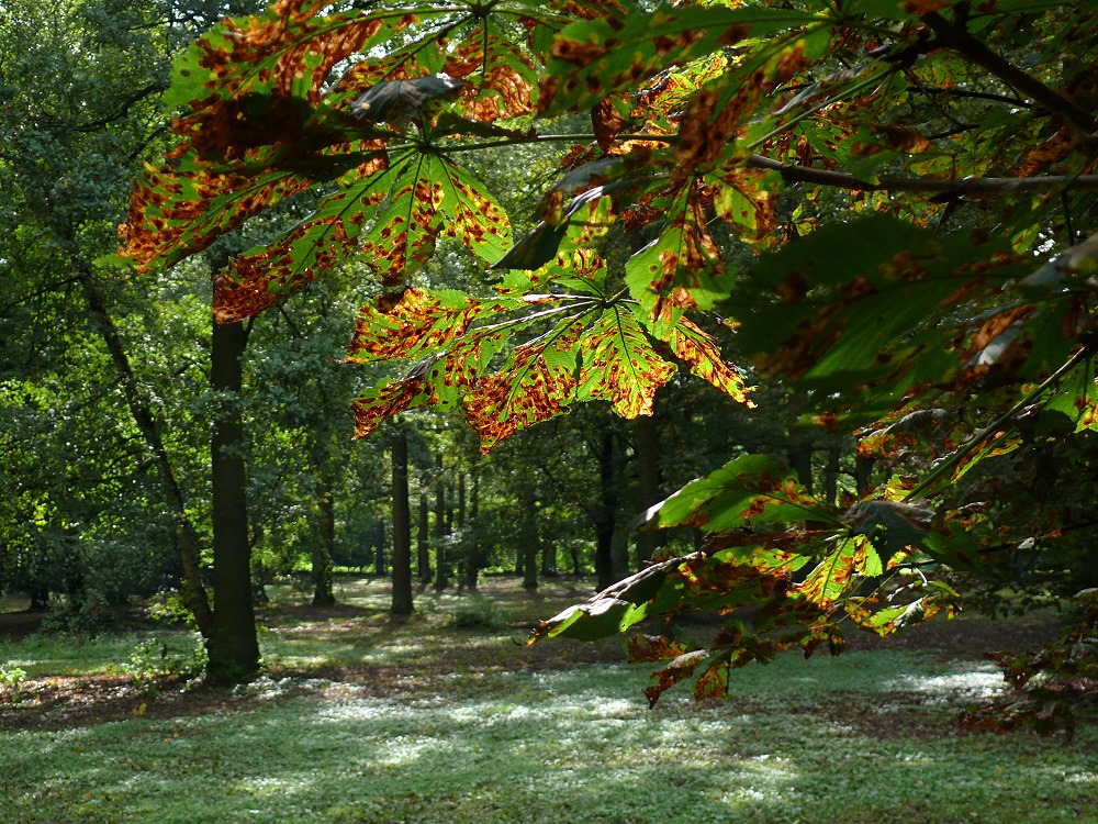 Es wird Herbst