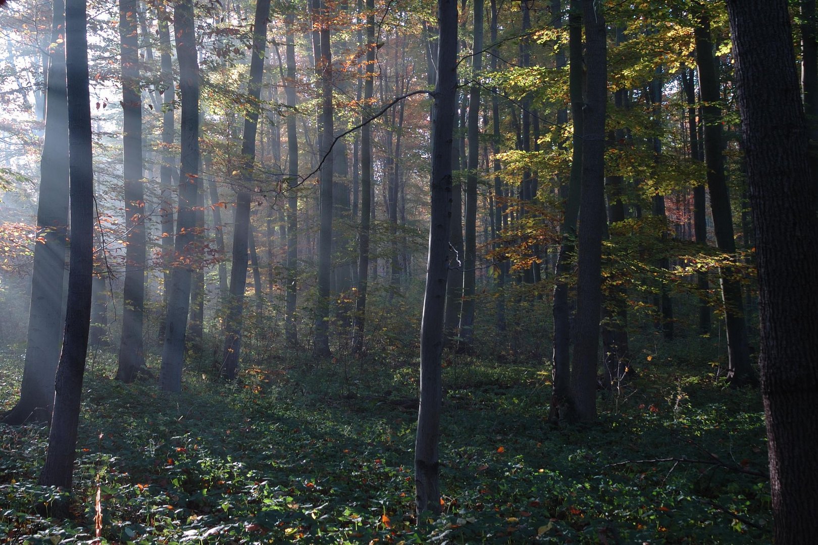 Es wird Herbst