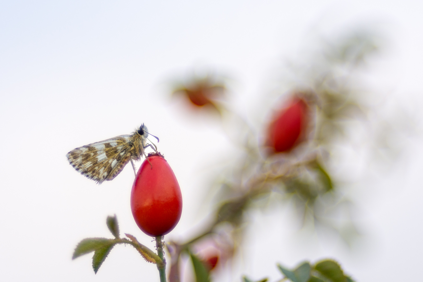 Es wird Herbst ...