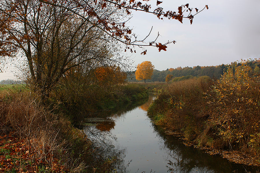 Es wird Herbst... #5