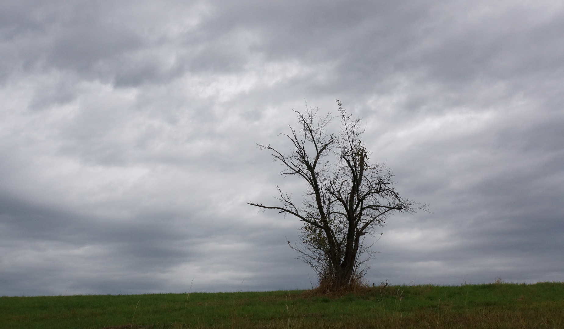 Es wird Herbst