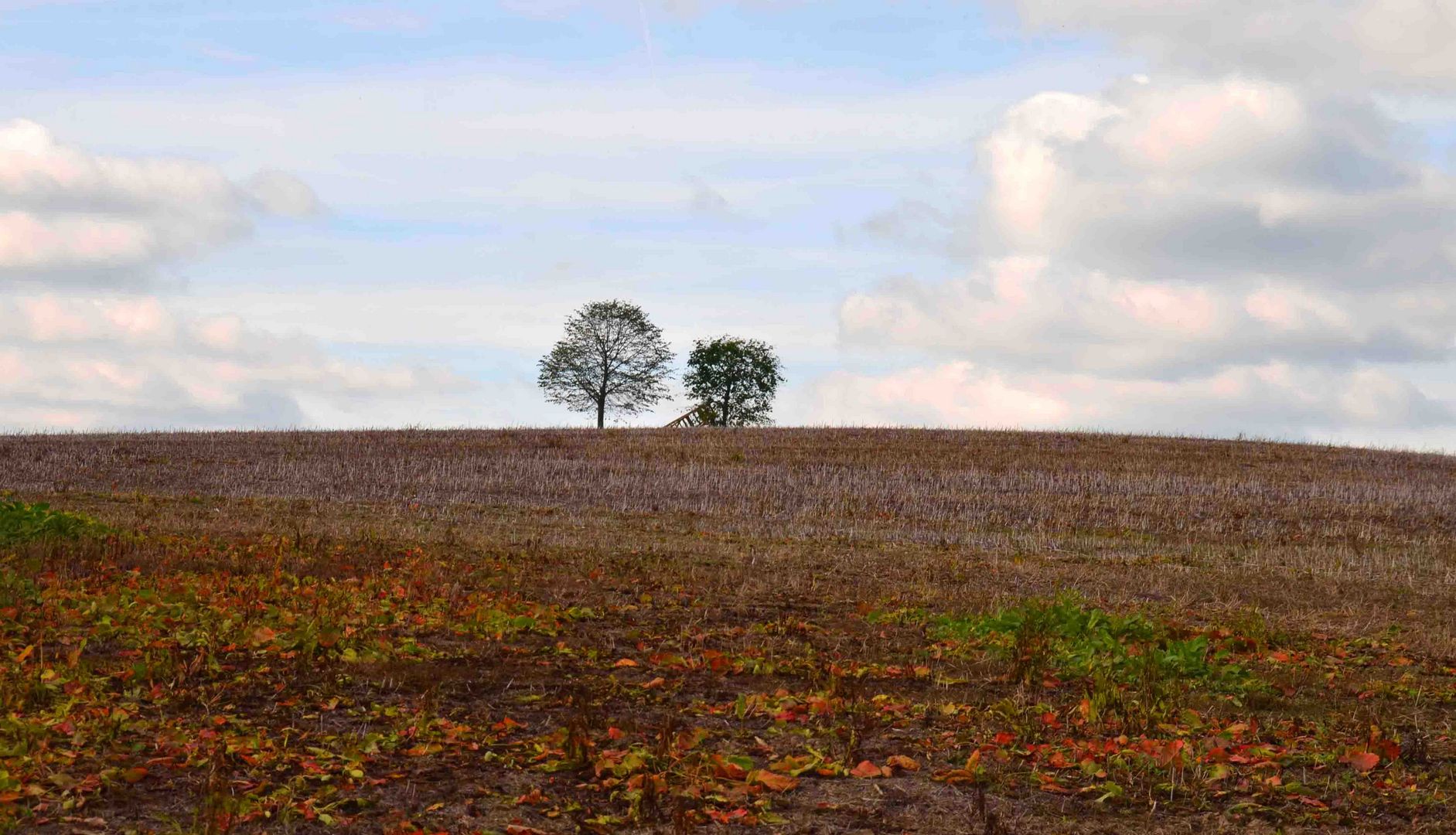 Es wird Herbst