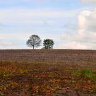 Es wird Herbst