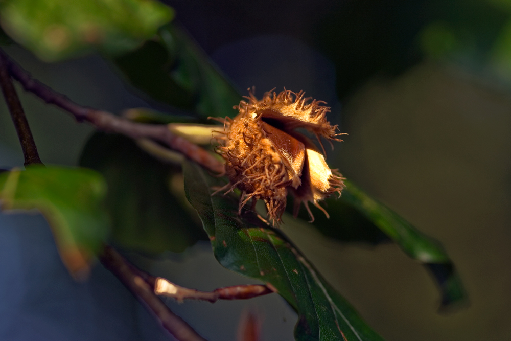 Es wird Herbst