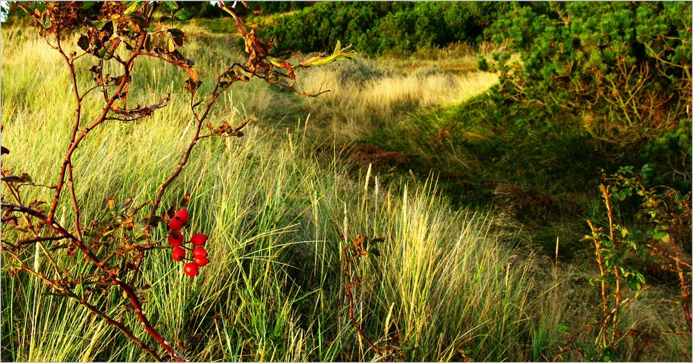 Es wird Herbst