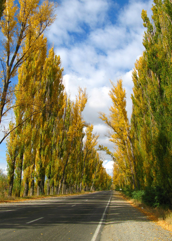 es wird Herbst