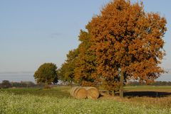 Es wird Herbst