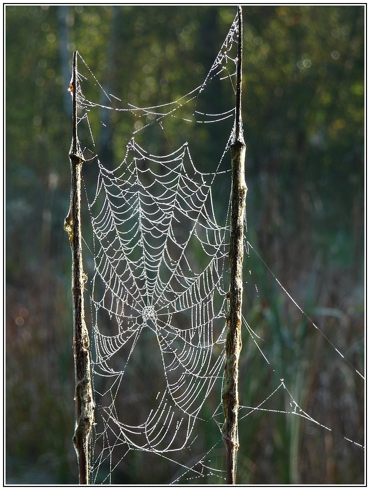 Es wird Herbst