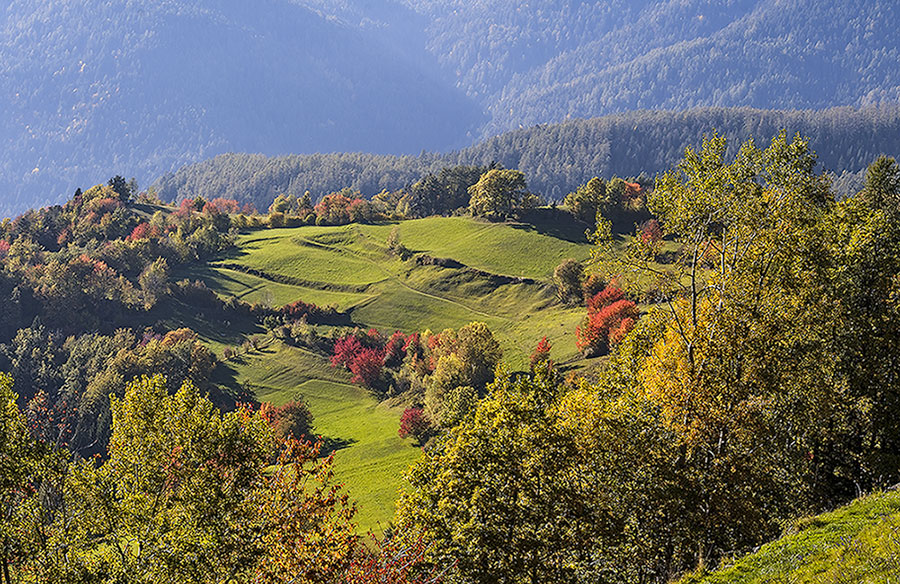 es wird Herbst