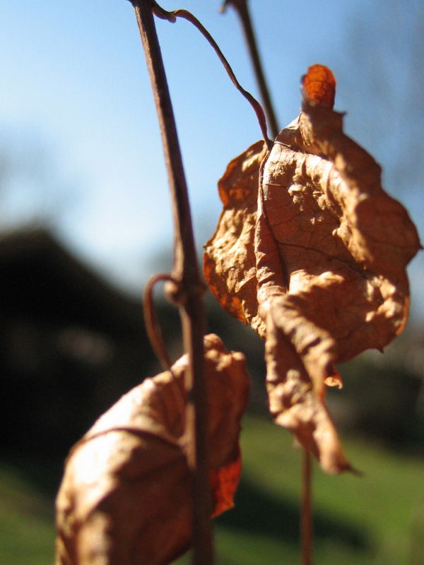 Es wird Herbst!