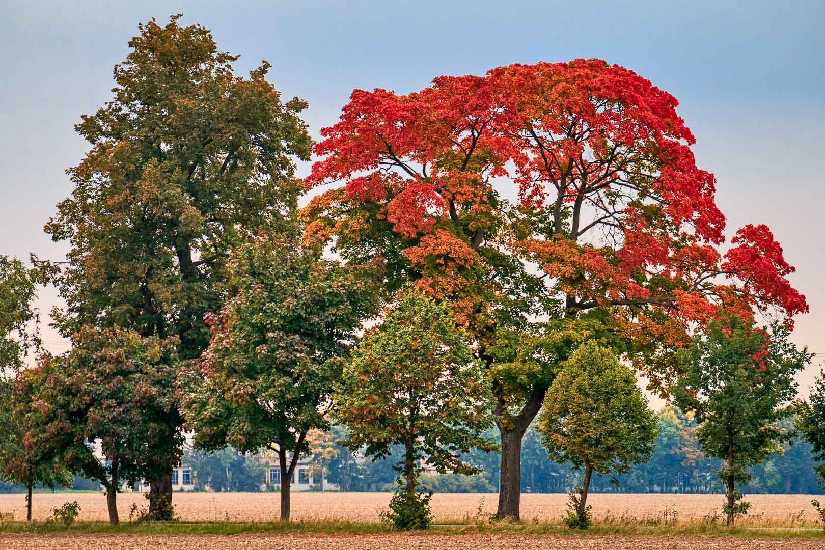 Es wird Herbst 