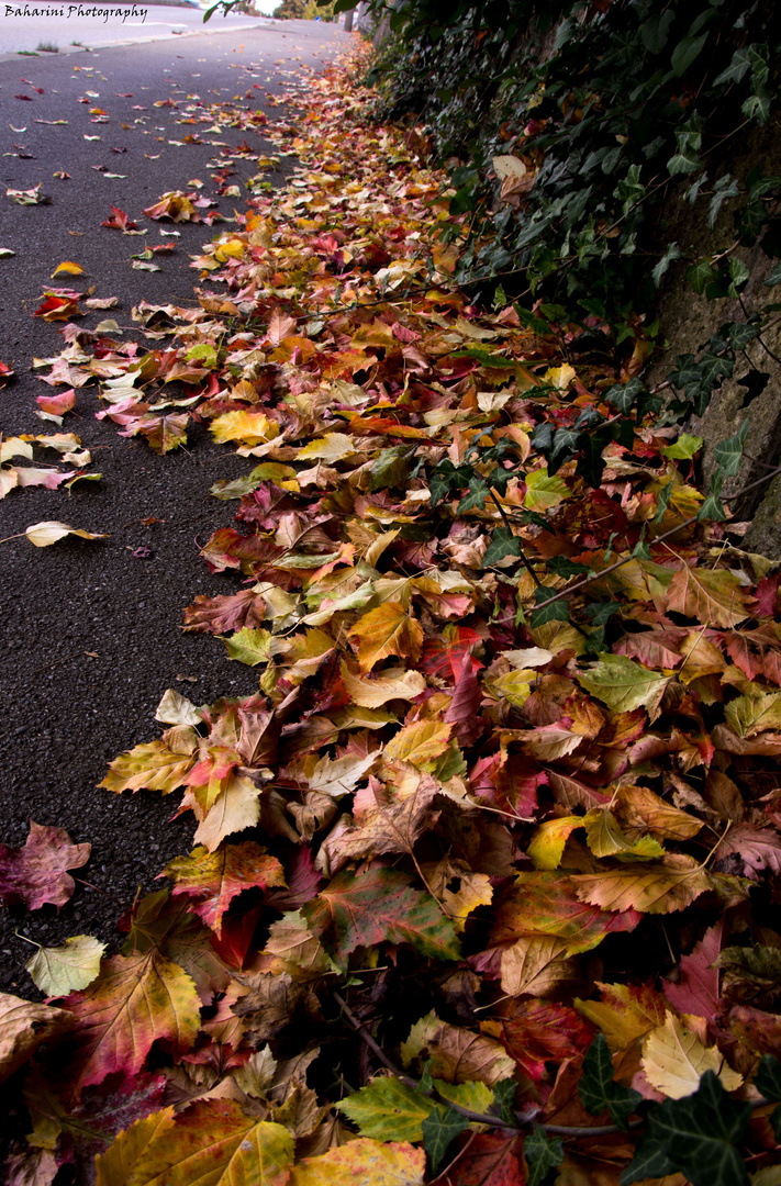 Es wird Herbst...