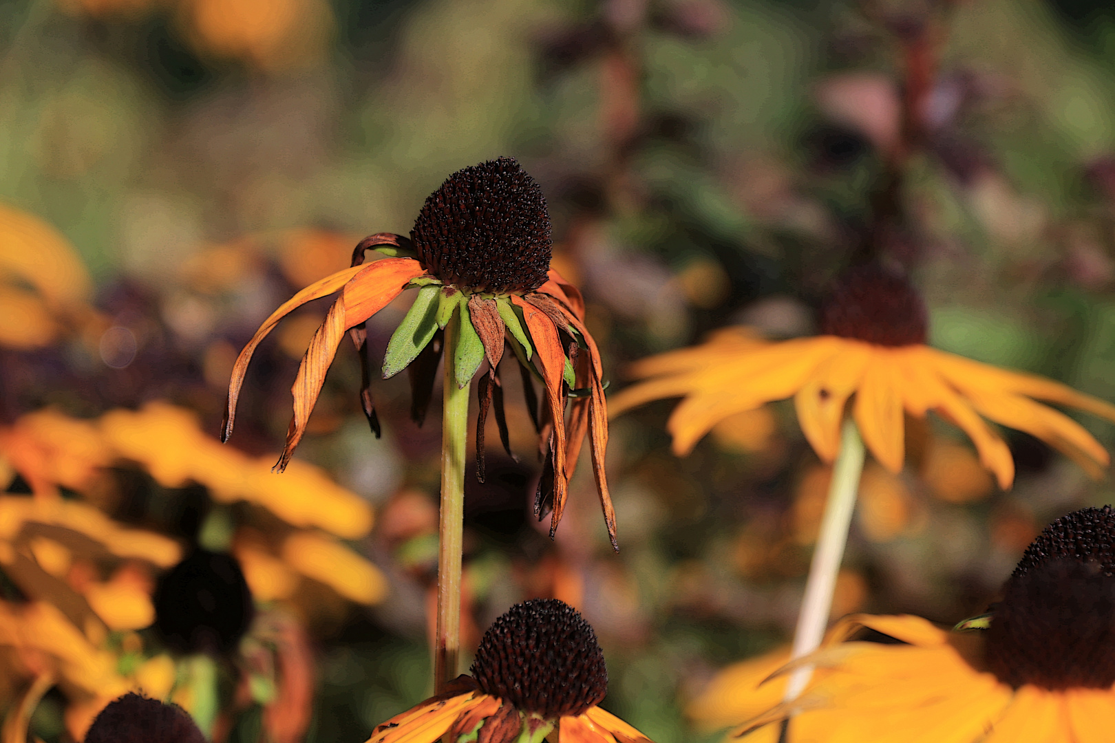 Es wird Herbst