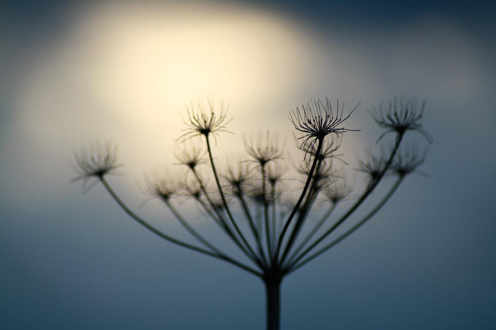 es wird Herbst