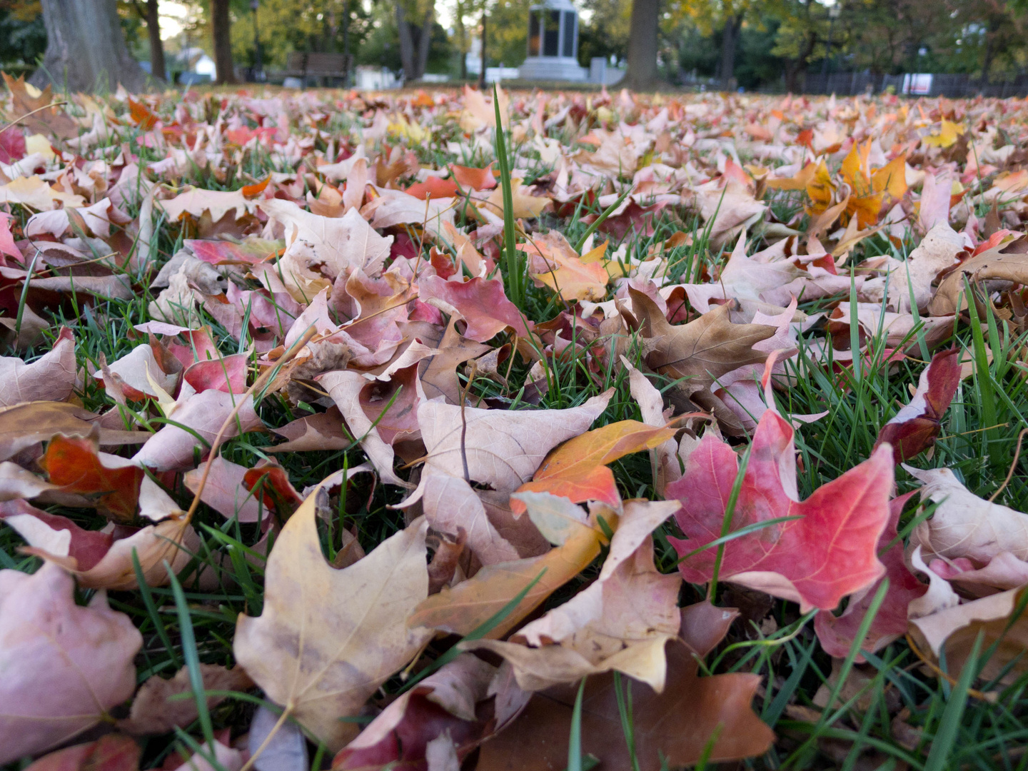 Es wird Herbst