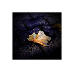 Es wird Herbst