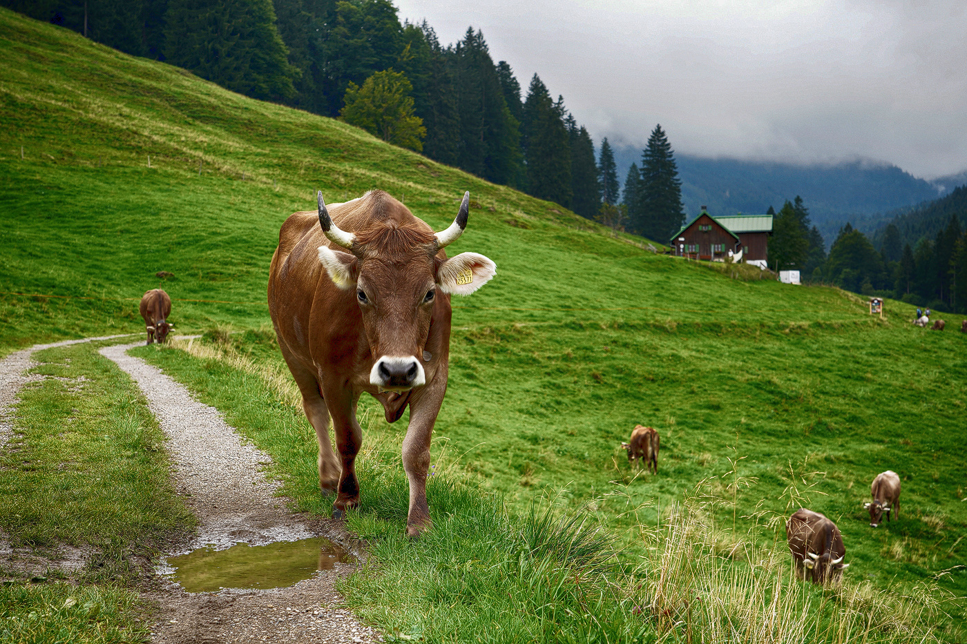 Es wird Herbst