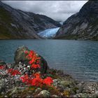 Es wird Herbst am Jostedalsbreen