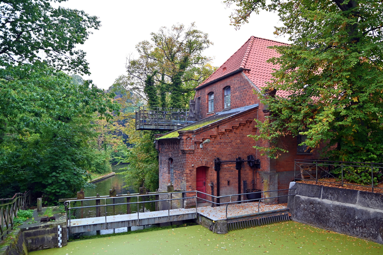 Es wird Herbst am Mühlenteich in Lübeck