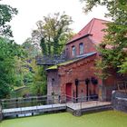 Es wird Herbst am Mühlenteich in Lübeck